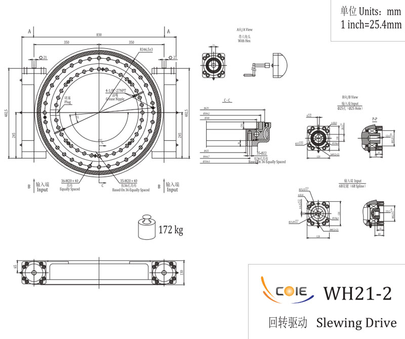 WH21-2 Double Worm Slewing Drive