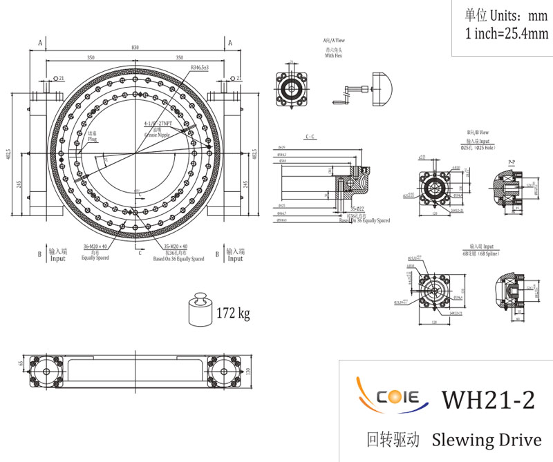 <b>WH21-2 Double Worm Slewing Drive</b>