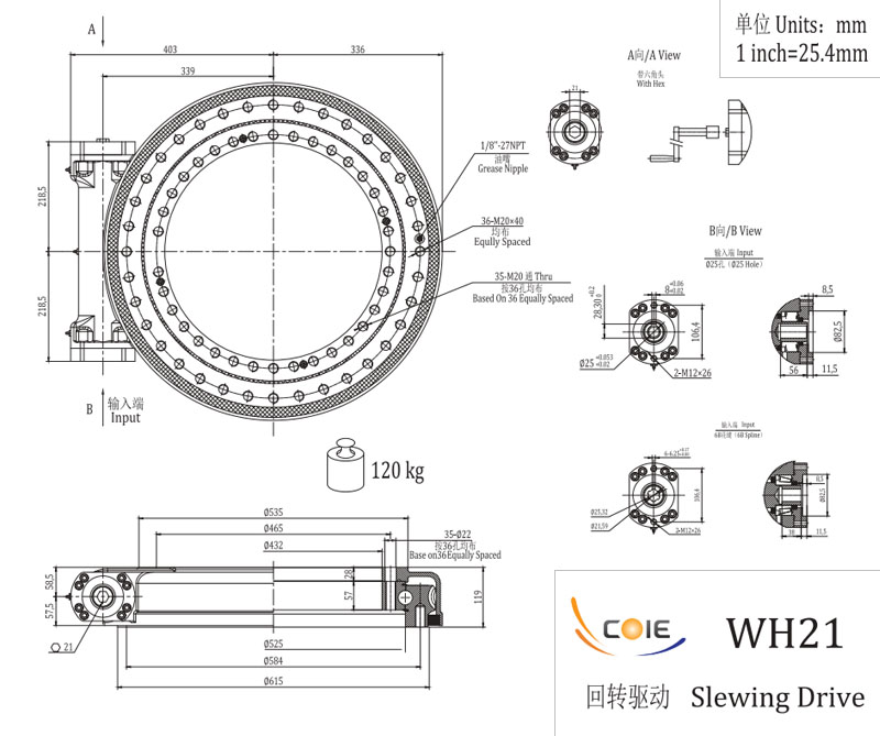 WH21 Single Worm Slewing Drive